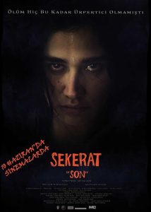 دانلود فیلم سینمایی آخرین نقاشی با دوبله فارسی|فیلم تک